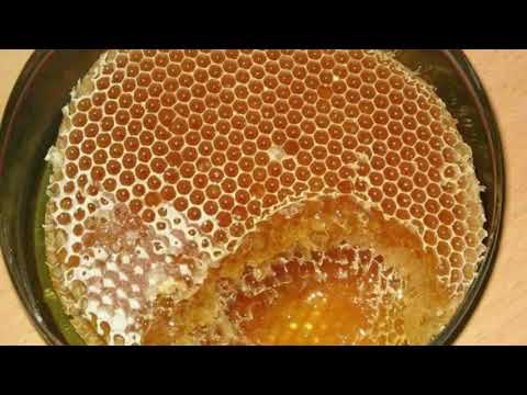 خرید و فروش اقتصادی عسل جنگلی